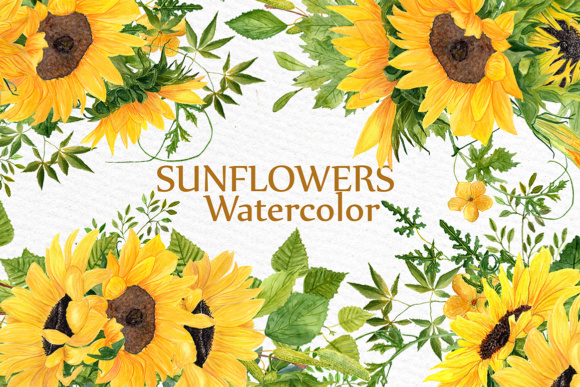 Sunflower Watercolor Clipart: A Versatile Design Collection